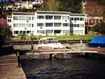 Blue Dolphin - Photo 1 of 1