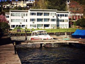 Blue Dolphin - Photo 1 of 1