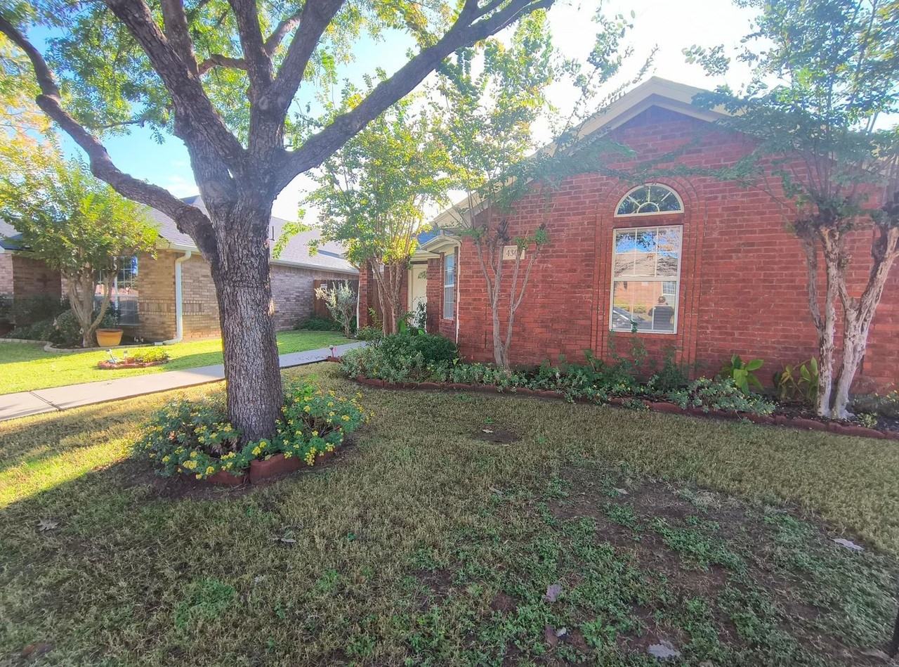 4301 Pinion Ridge Drive - Photo 3 of 14