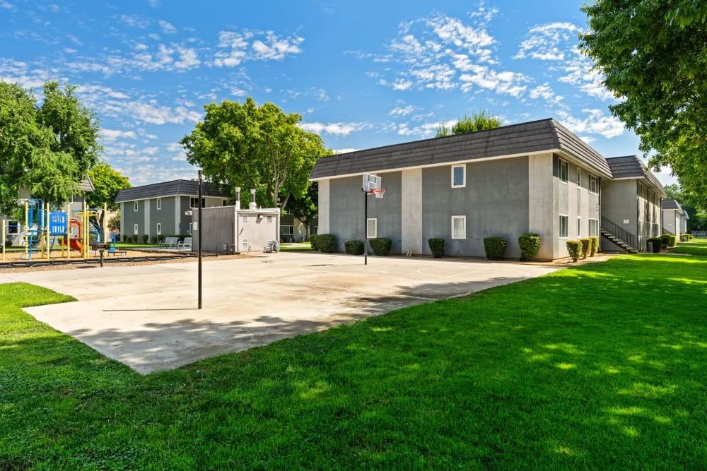 El Cazador - Photo 4 of 14