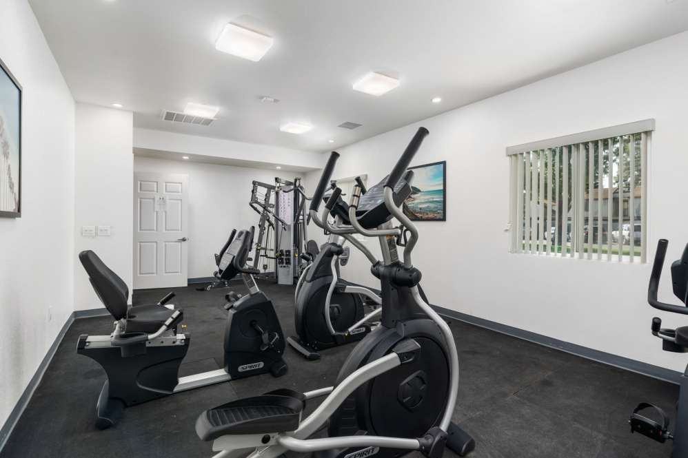 El Cazador - Photo 5 of 14