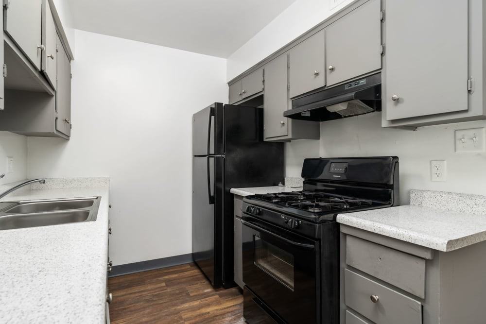 El Cazador - Photo 2 of 14