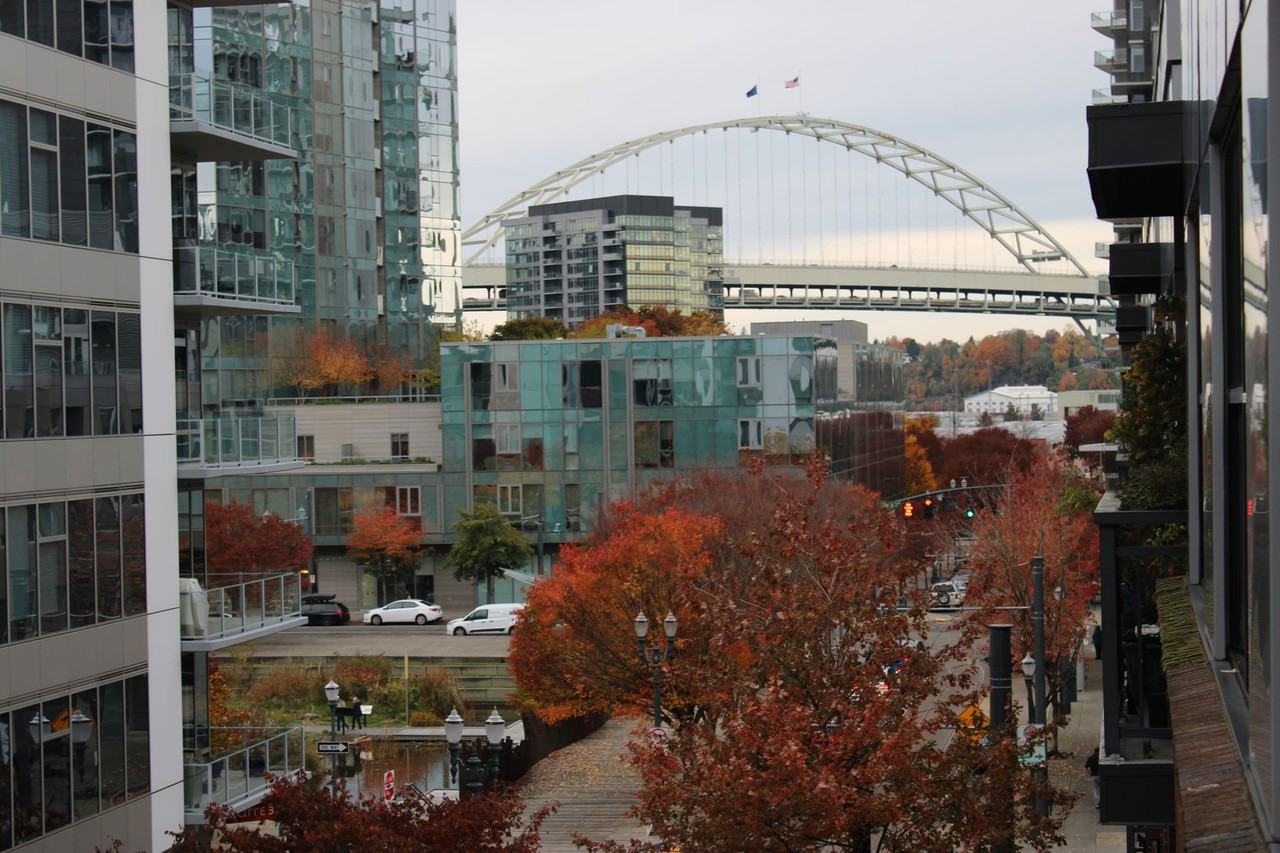 1040 NW 10th Ave - Photo 2 of 50