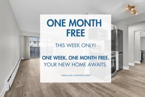 featured image of 20119 20117 & 20119 56th Avenue