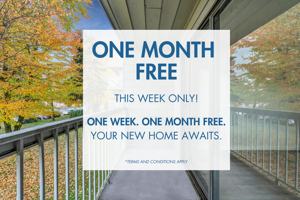 featured image of 5772 177b Street