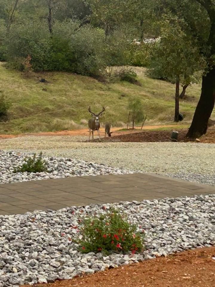 11303 Quartz Hill Road #A - Photo 3 of 38