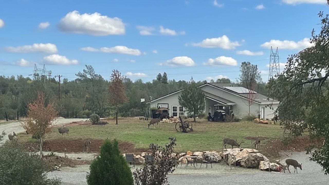 11303 Quartz Hill Road #A - Photo 4 of 38