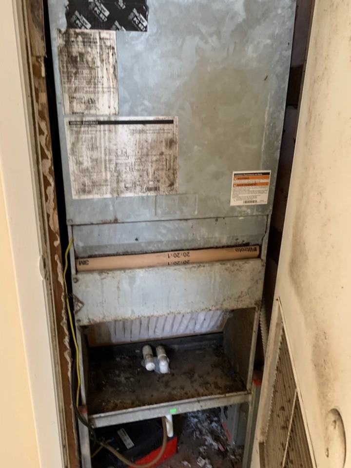 3502 Lindell Ave - Photo 5 of 13