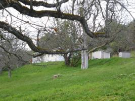 featured image of 2069 Upper Applegate Road