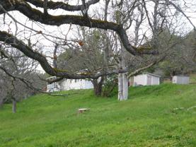 2069 Upper Applegate Road - Photo 1 of 1