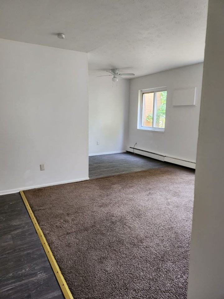 Affordable Apartment Living in Prime Cleveland Location! - Photo 5 of 26