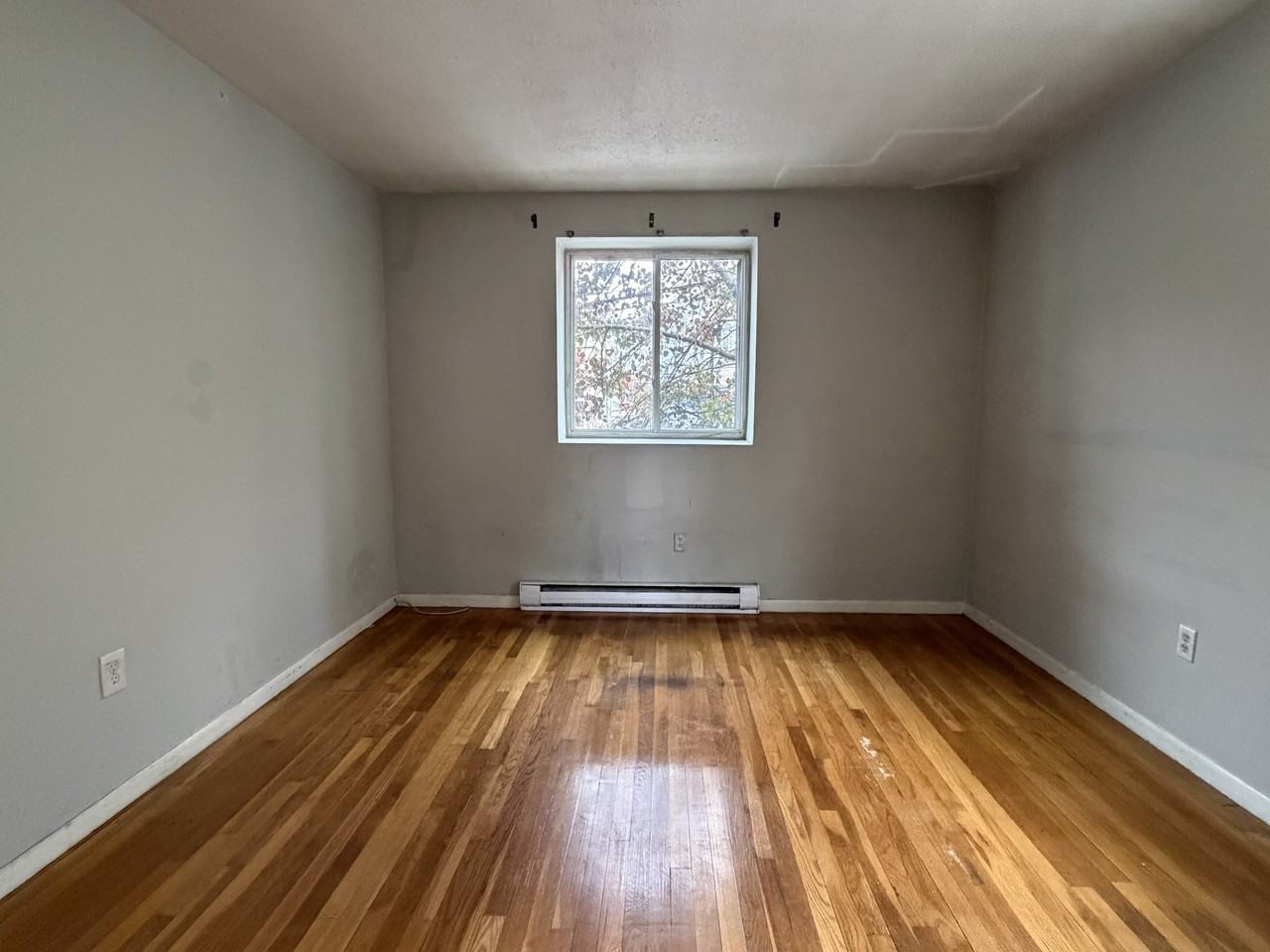 8 Kittredge St #1 - Photo 3 of 11