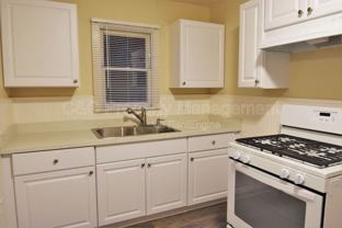 1533 Noche Buena Street - Photo 1 of 1