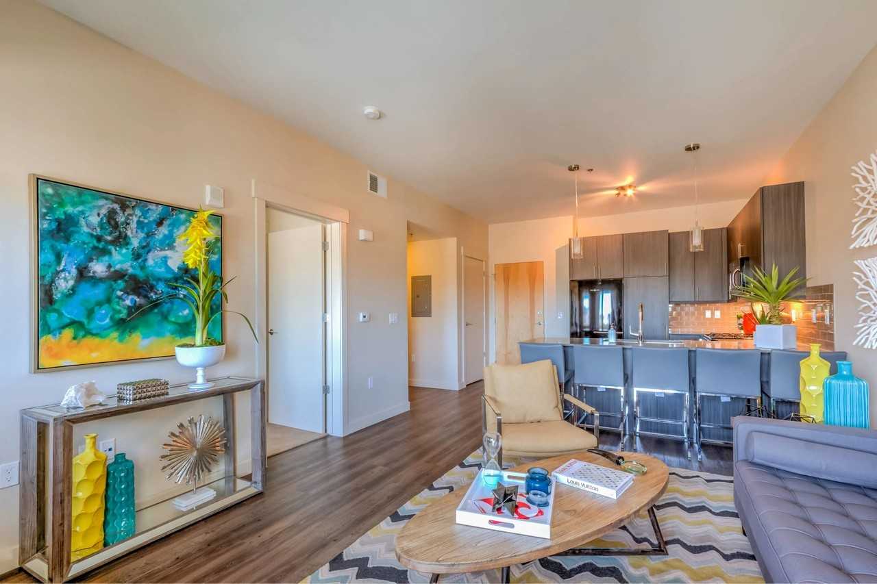 The Calo - Photo 3 of 22