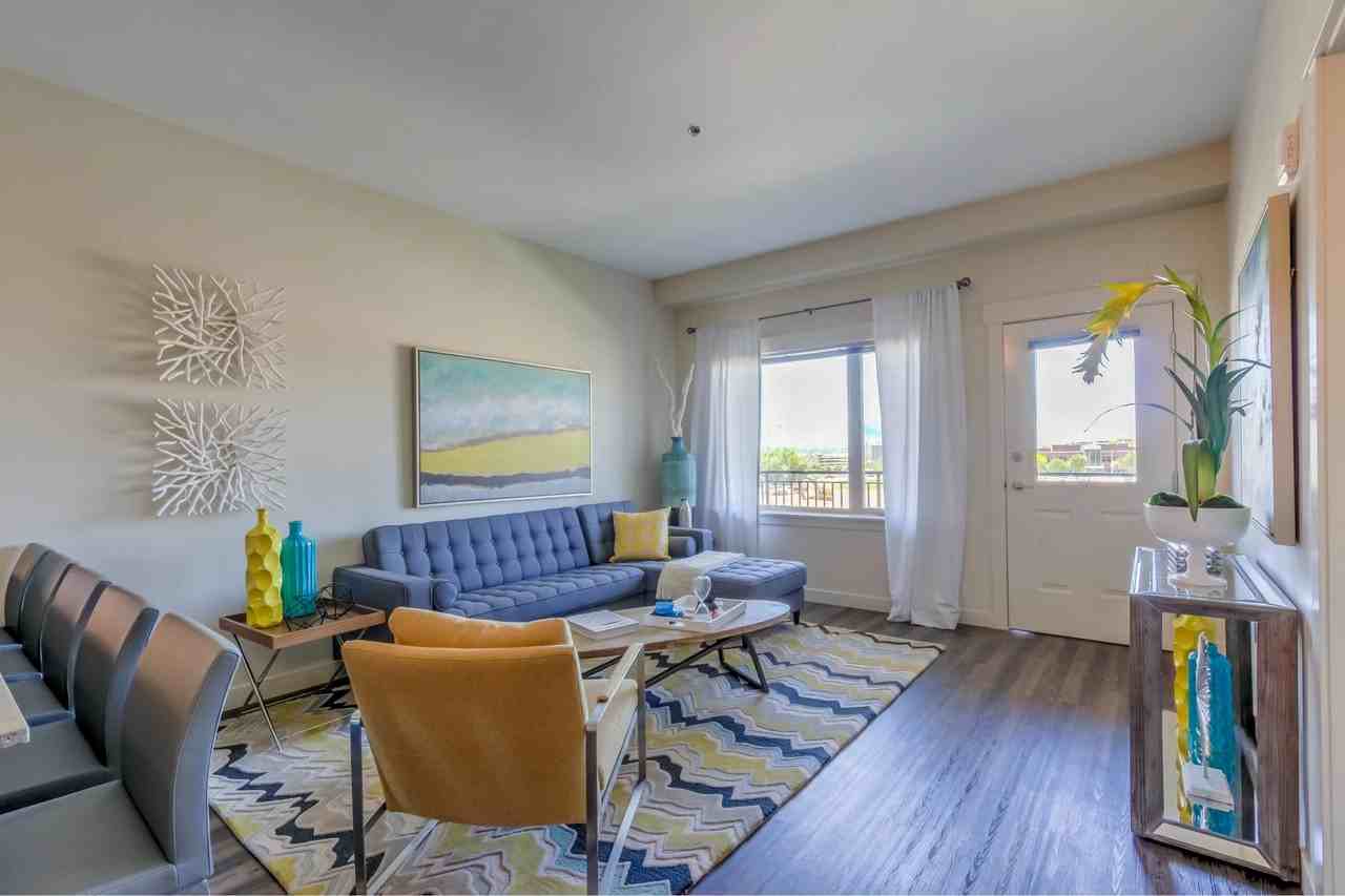 The Calo - Photo 4 of 22