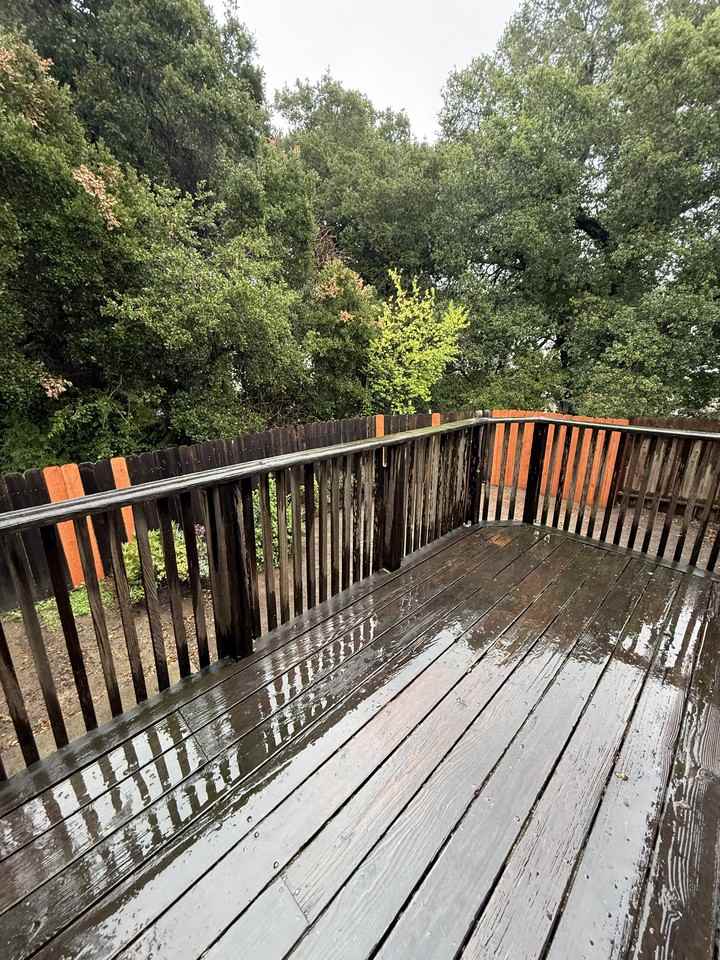 1627 D Street #11 - Photo 7 of 11