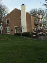 7527 Broken Staff - Photo 1 of 1