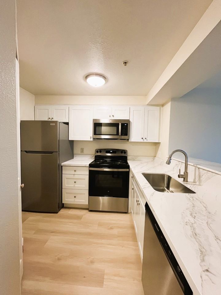 Portage Bay - Photo 3 of 15