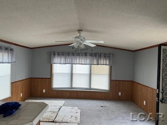 3180 N Adrian Hwy Lot 2 #LOT2 - Photo 5 of 6