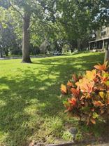 2897 Thaxton Dr #63 - Photo 1 of 1