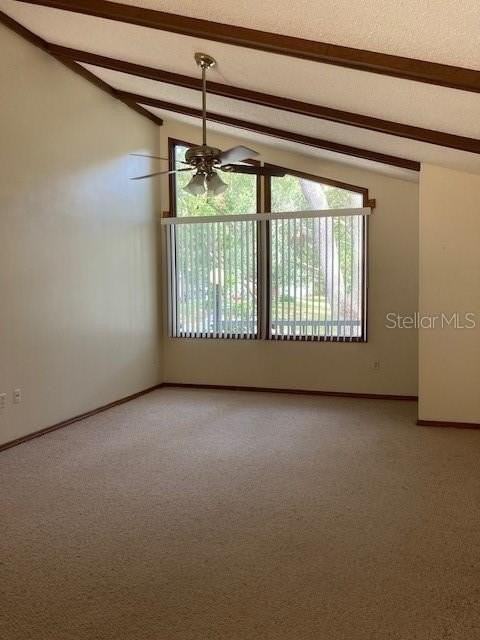 744 Vassar Road - Photo 3 of 15