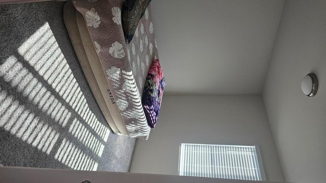 2865 Bering St - Photo 2 of 11