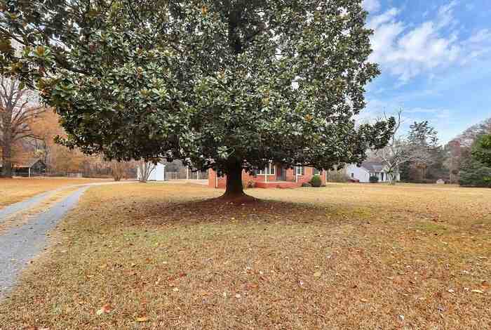 8911 Reames Road - Photo 4 of 31