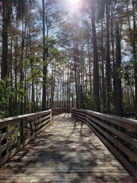 2615 Garden Drive North #2615-207 - Photo 5 of 36