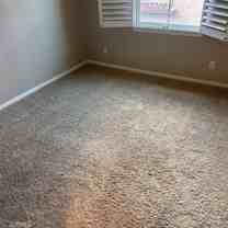 258 Coral Rose - Photo 1 of 1