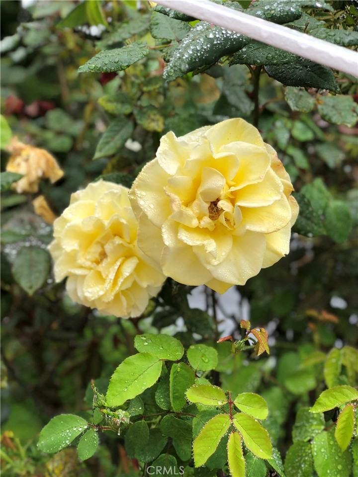 12 Coach Rd #12 - Photo 4 of 26