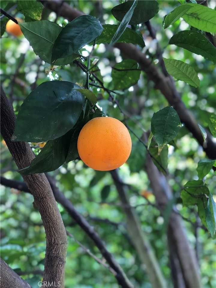 12 Coach Rd #12 - Photo 5 of 26