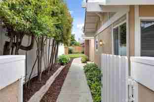 29 Blackswan #29 - Photo 1 of 1