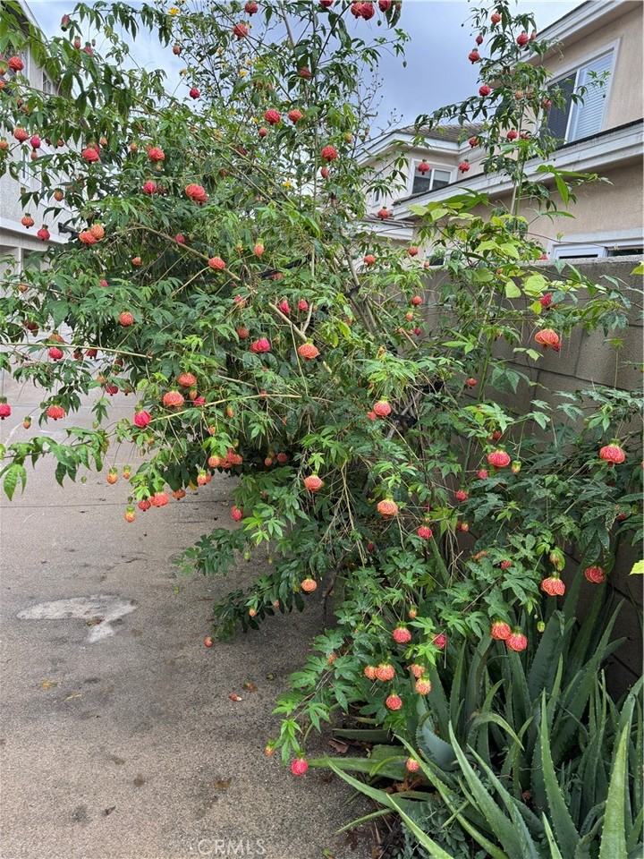 5704 Sultana Ave #5704D - Photo 7 of 50