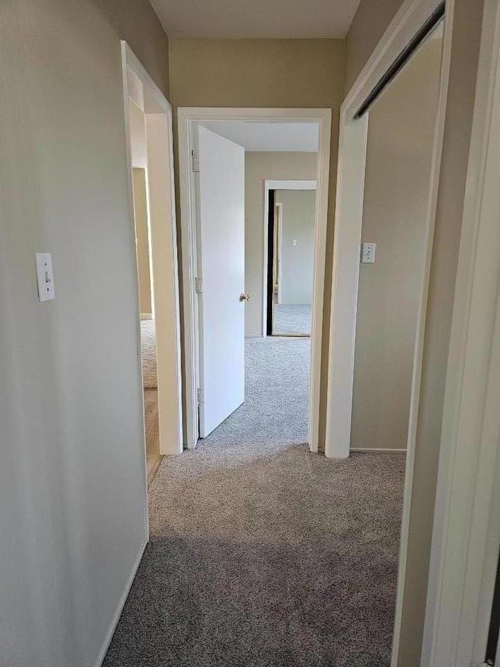 160 Clarendon Road #160A - Photo 6 of 15