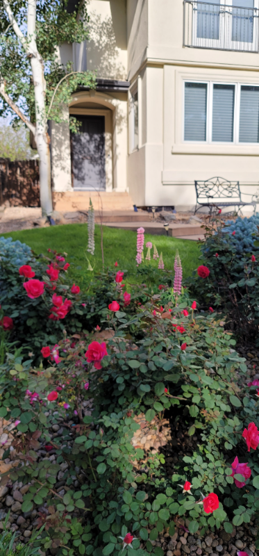 362 Monroe Street #362B