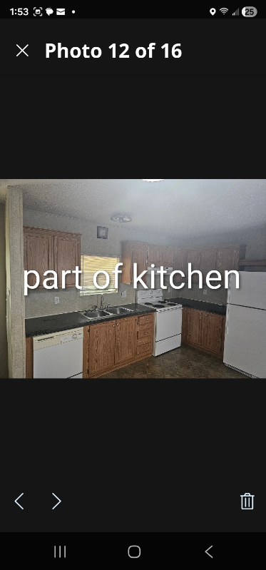 233 Tracer Avenue - Photo 2 of 17