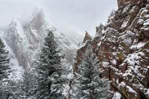 featured image of 194 Artesian Drive #9