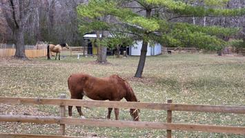 featured image of 9500 Fox Valley Drive #NA