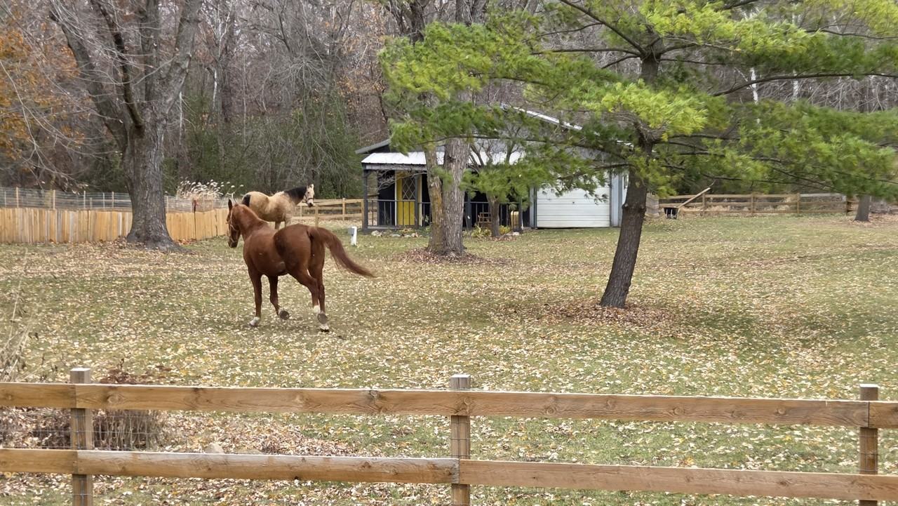 9500 Fox Valley Dr #NA - Photo 2 of 43