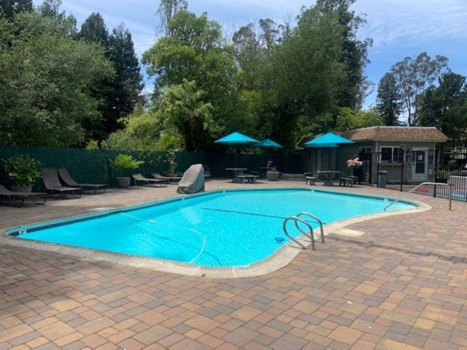 7323 College View Drive #201 - Photo 5 of 19