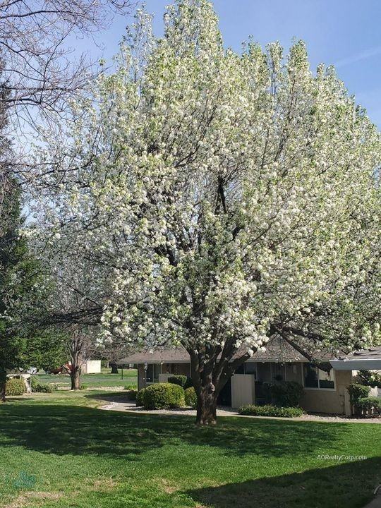 105 Hilltop Drive #75 - Photo 2 of 12