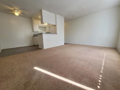 3731 South Canfield Avenue #1X1 - Photo 3 of 6