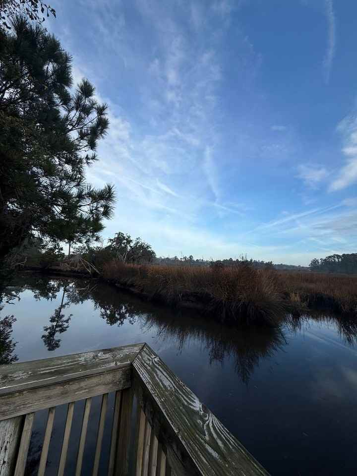 1128 Dean Forest Rd - Photo 6 of 7