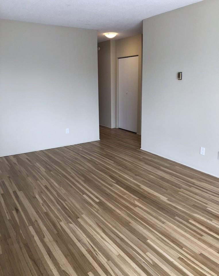 204 Agnes St - Photo 6 of 20