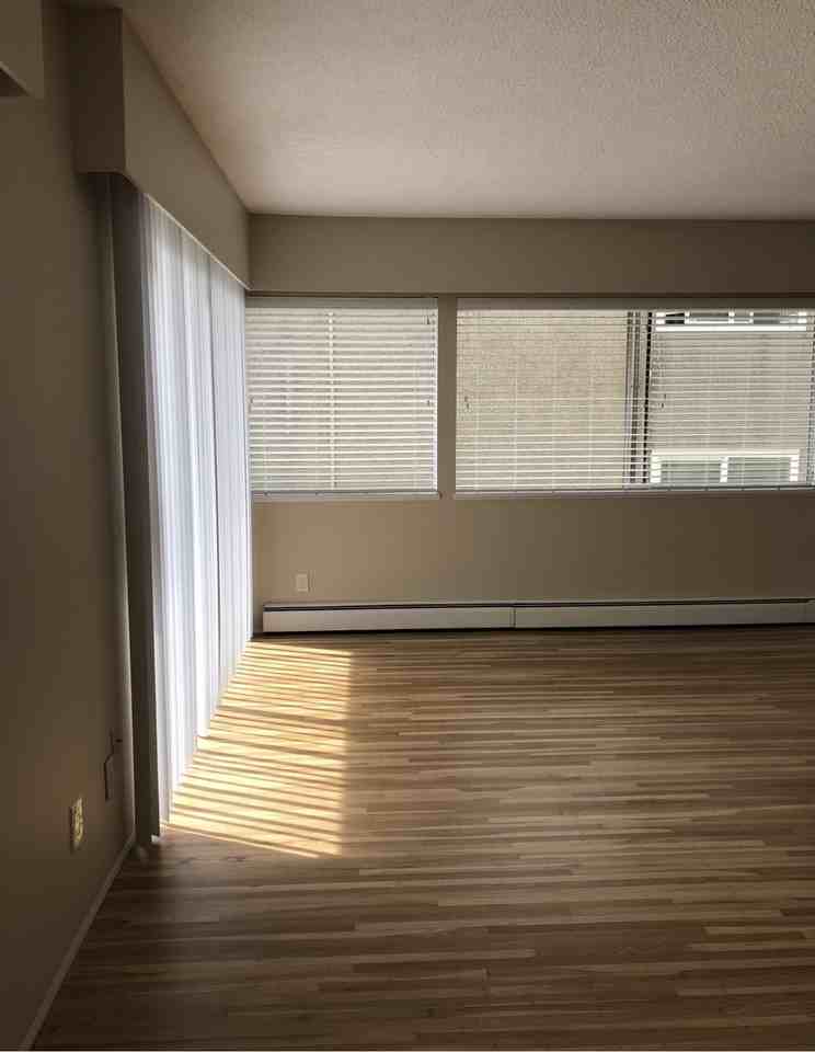 204 Agnes St - Photo 5 of 20