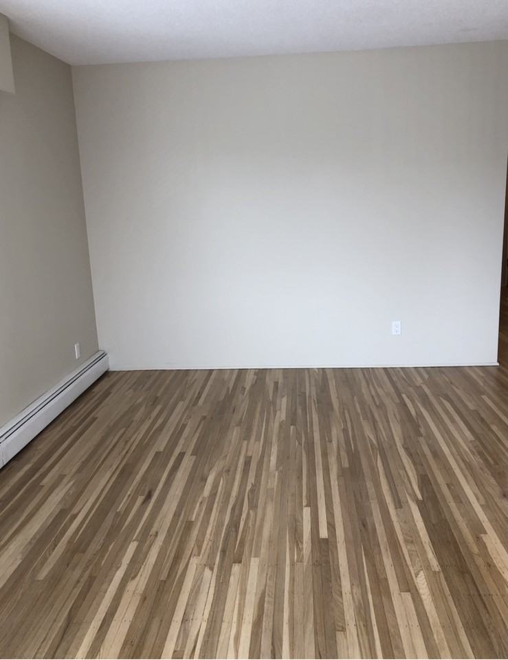 204 Agnes St - Photo 7 of 20