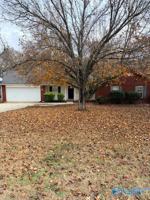 featured image of 217 Falcon Ridge Drive