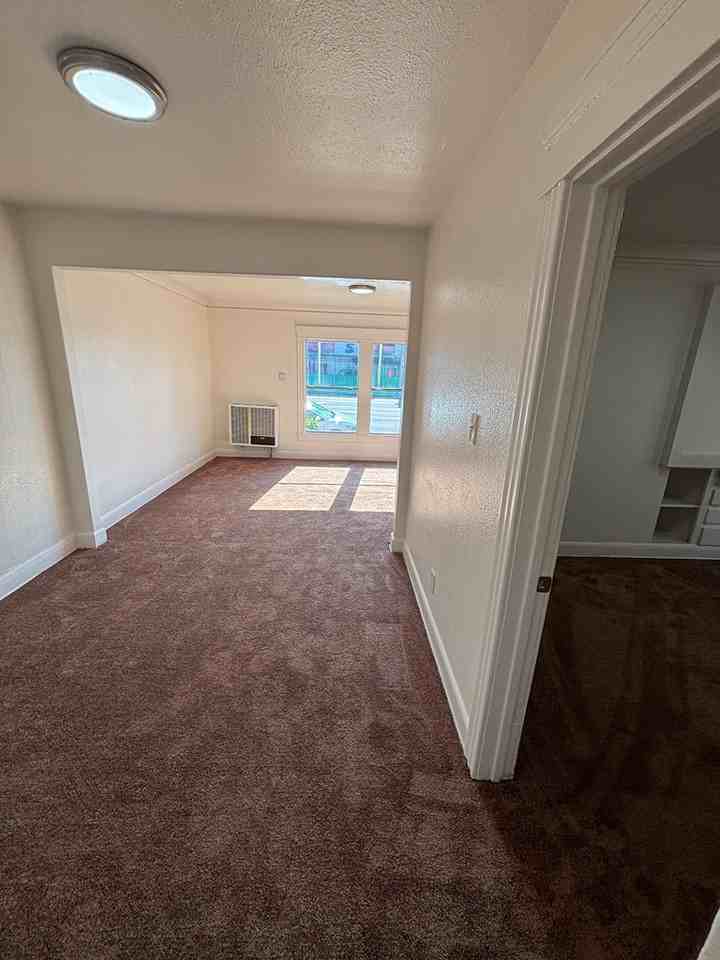 1617 West Martin Luther King Junior Boulevard - Photo 7 of 13