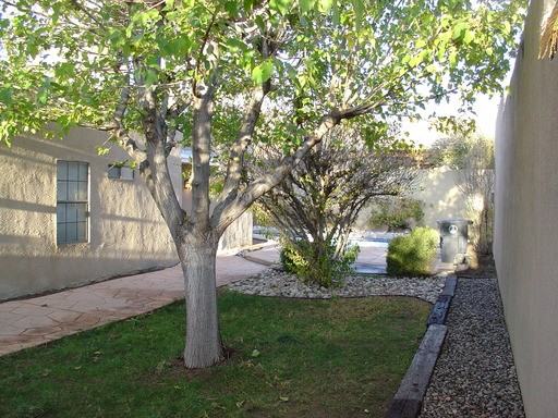 5408 Luttrell Ct NE - Photo 3 of 26