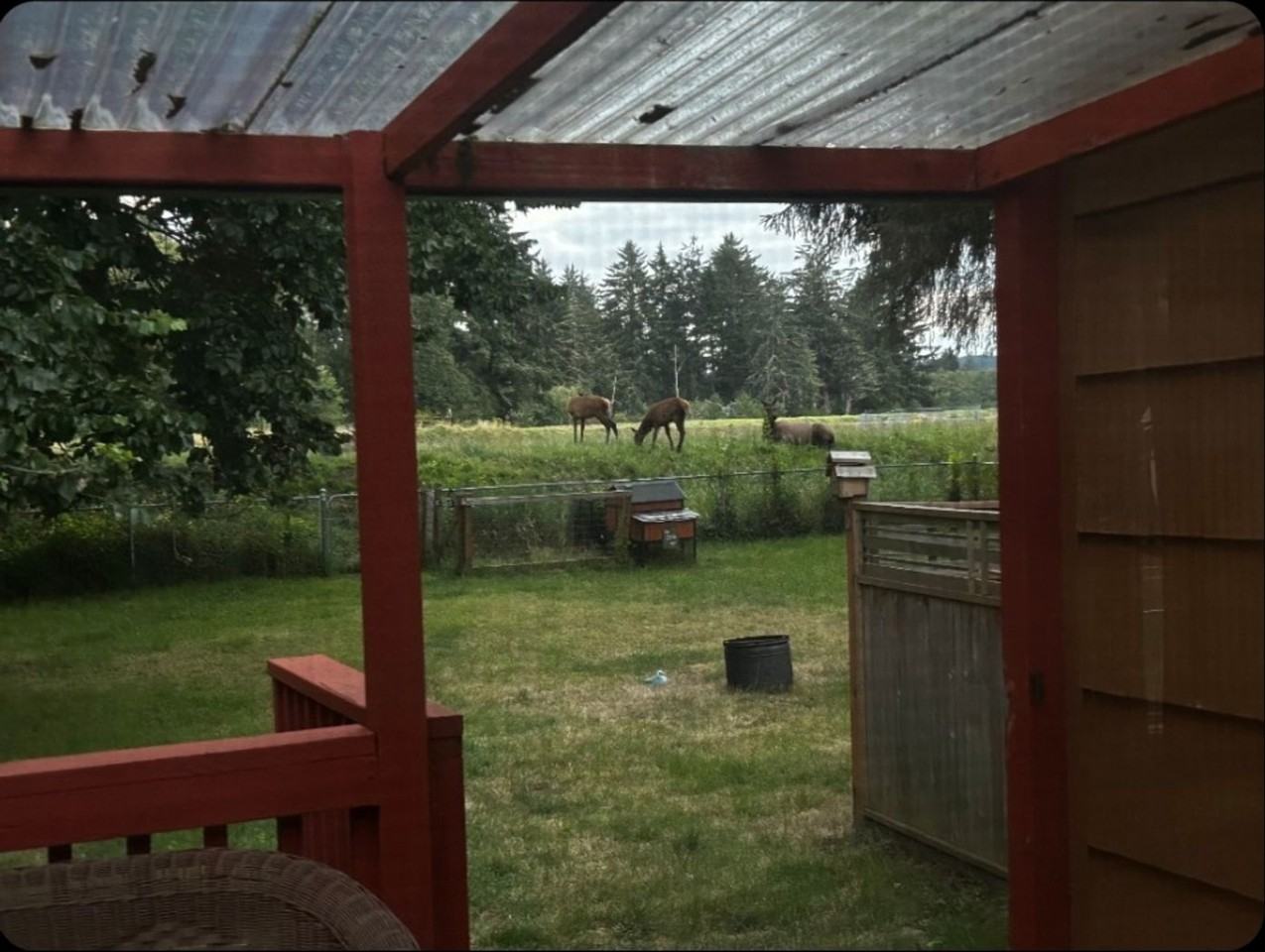 612 S Main Ave - Photo 6 of 26